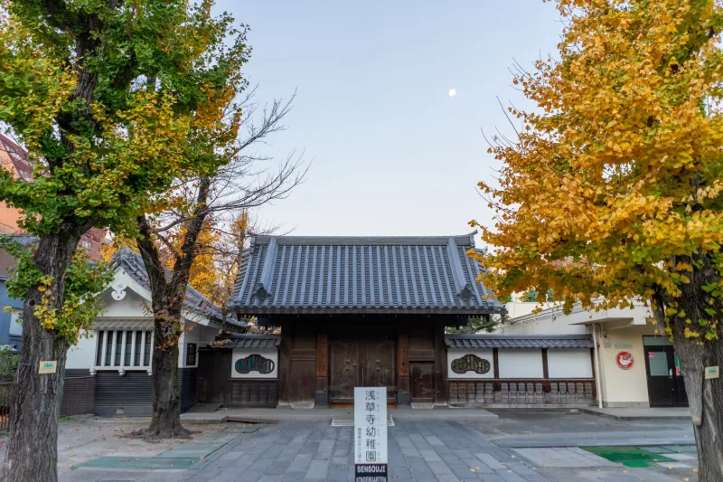 Off the Pilgrim Trail: Tachikawa's Hidden Shrines and Temples That Actually Feel Sacred